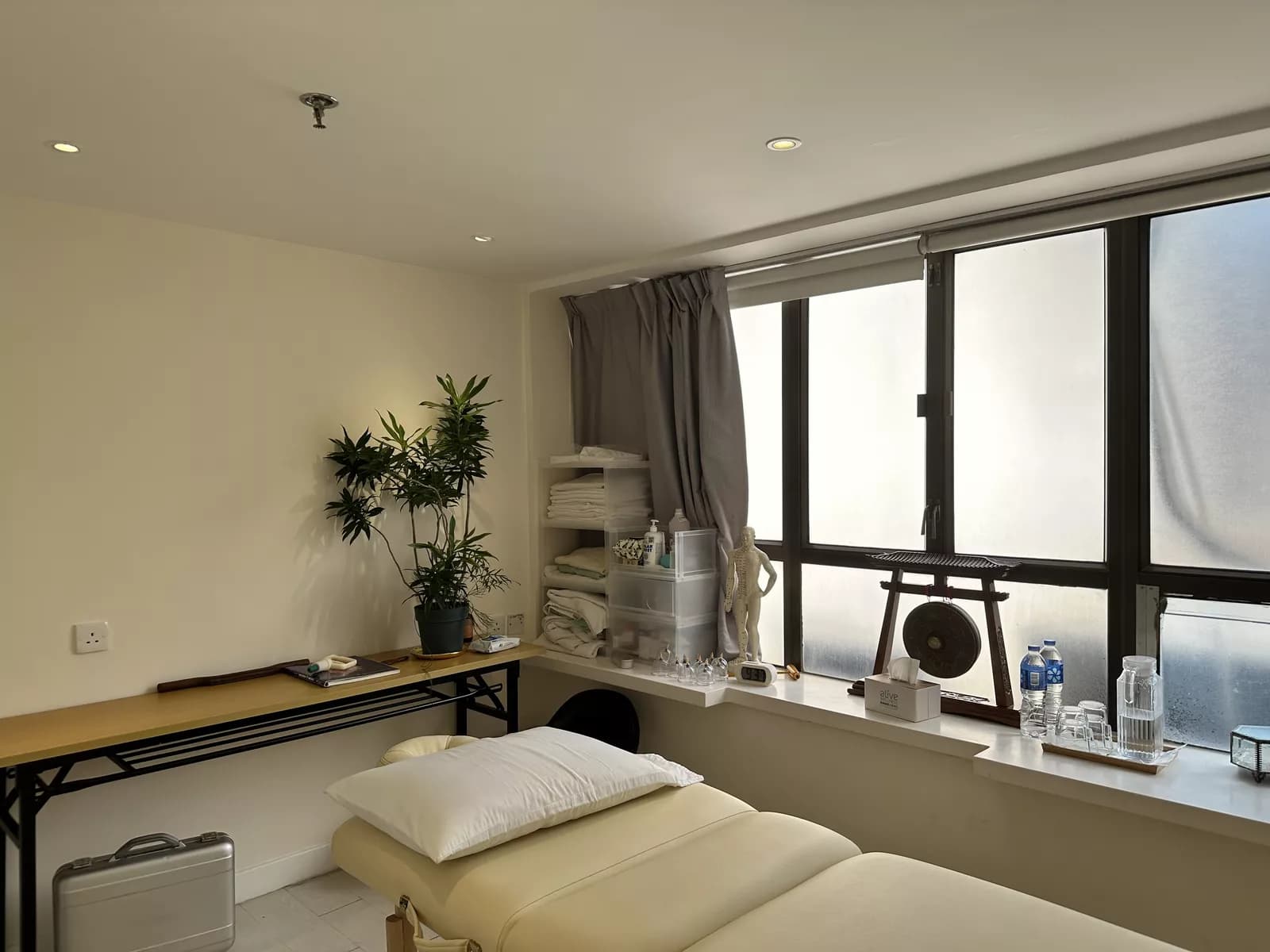 Alive Wellness