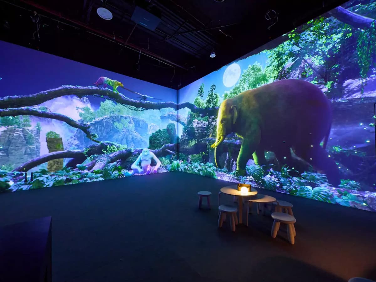 Immersive Event Space