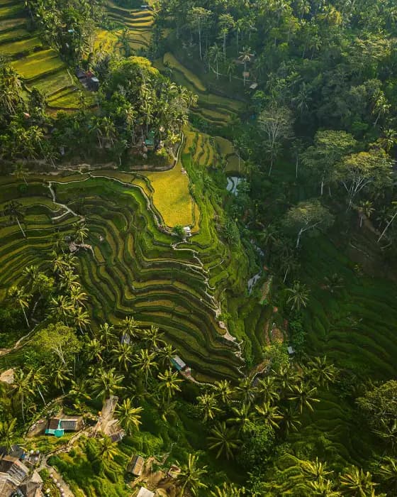 Badung