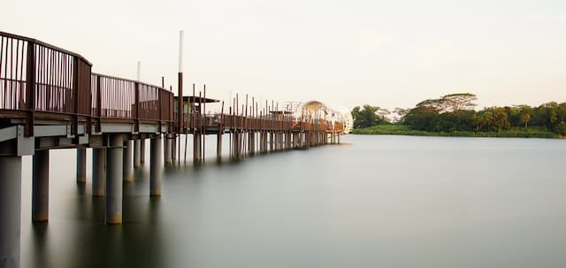 Seletar