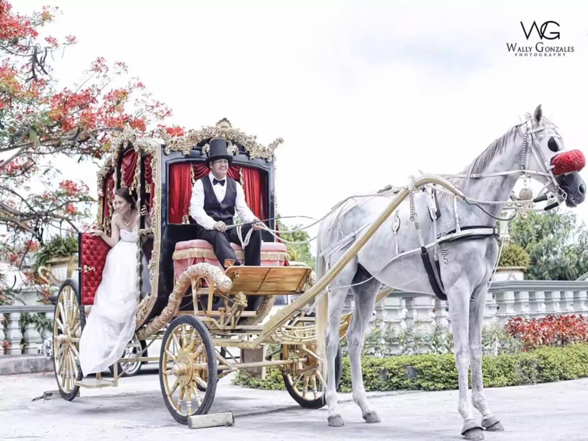 horse dragging carriage with bride inside event space las pinas