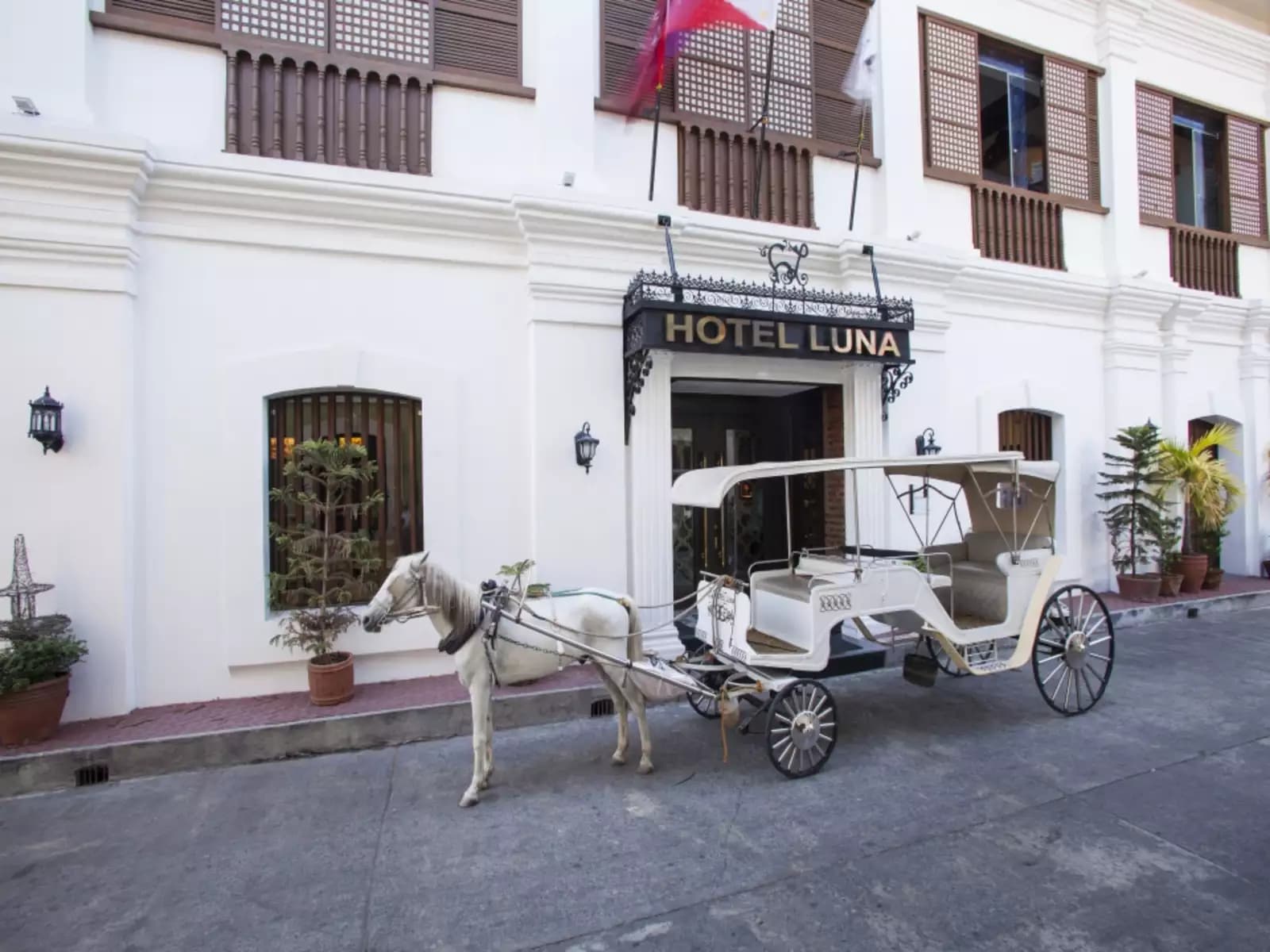 white horse carriage in front of hotel's building hotel ilocos sur