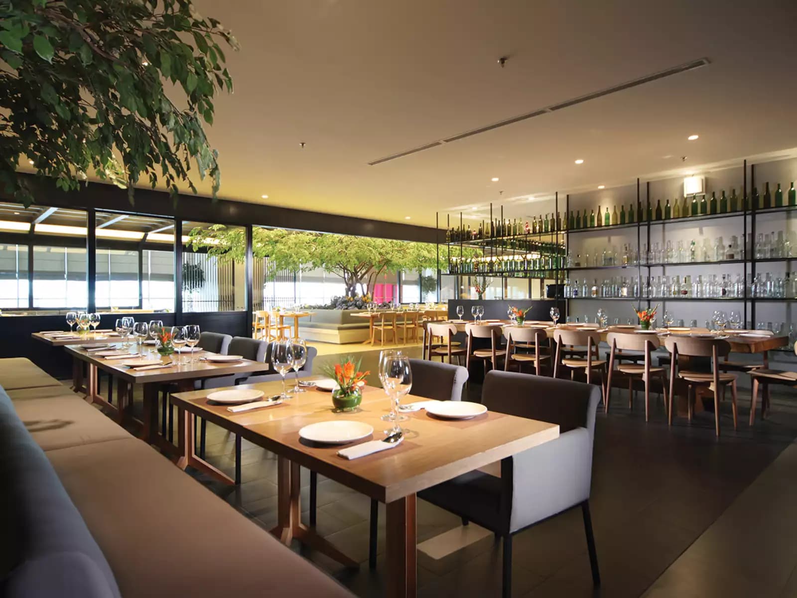 penang bistro central park sewa tempat gathering jakarta
