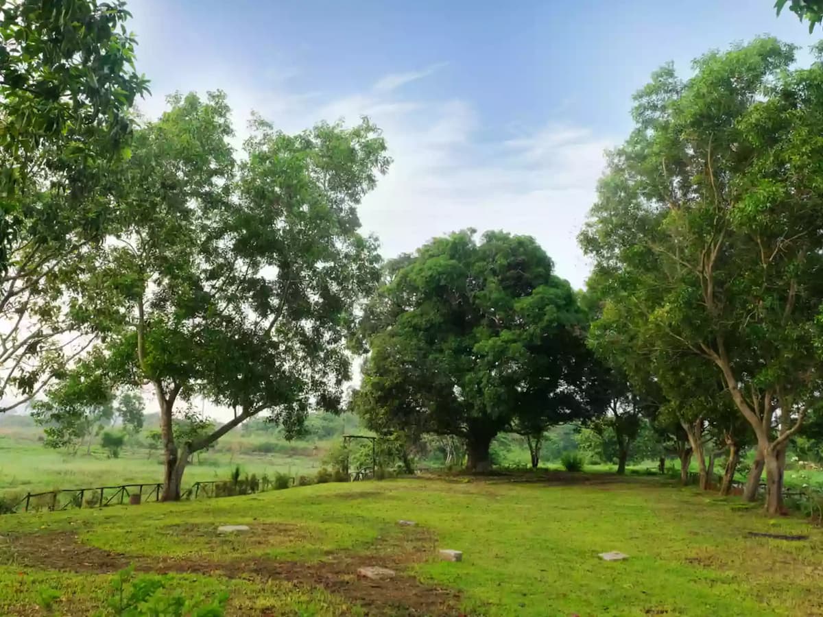 spacious landscape with a lot of trees cavite