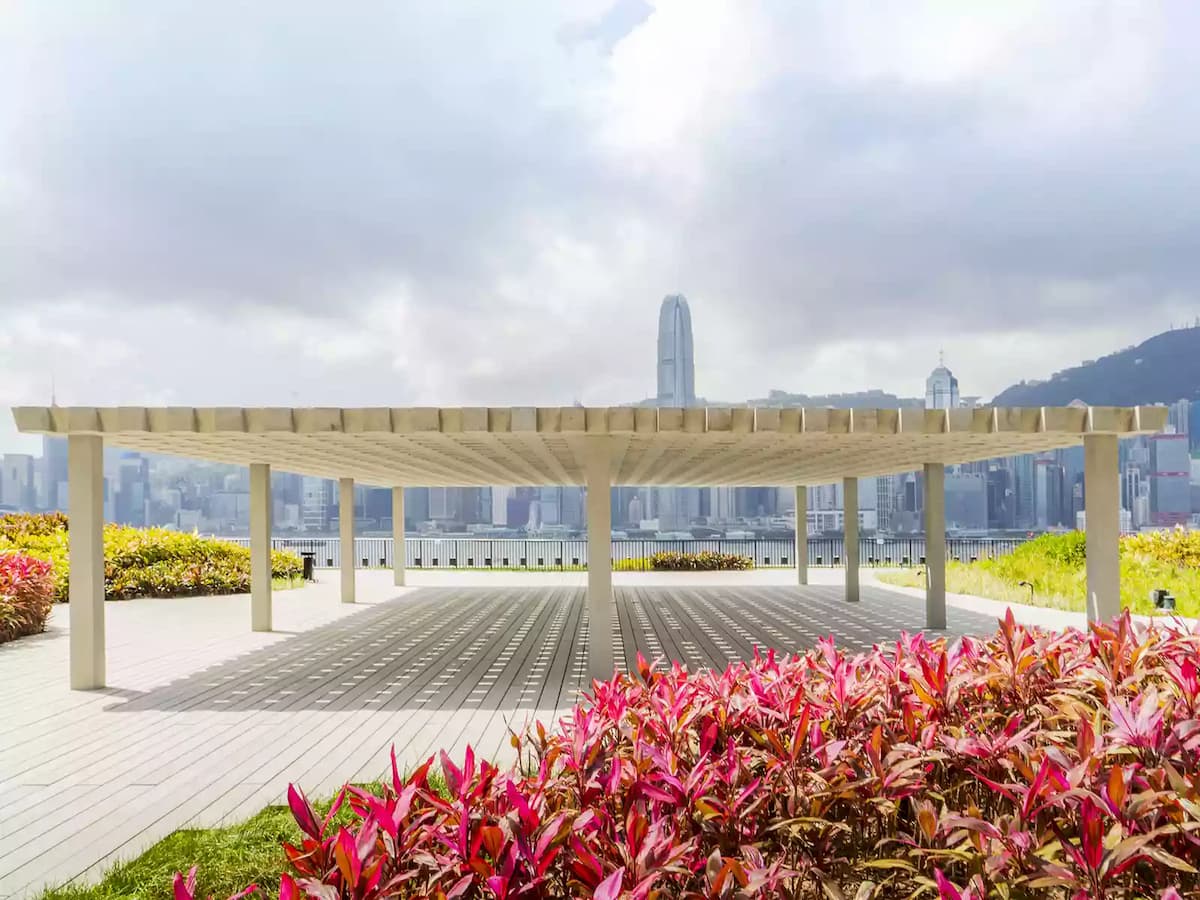 Rooftop area with lush greenery
