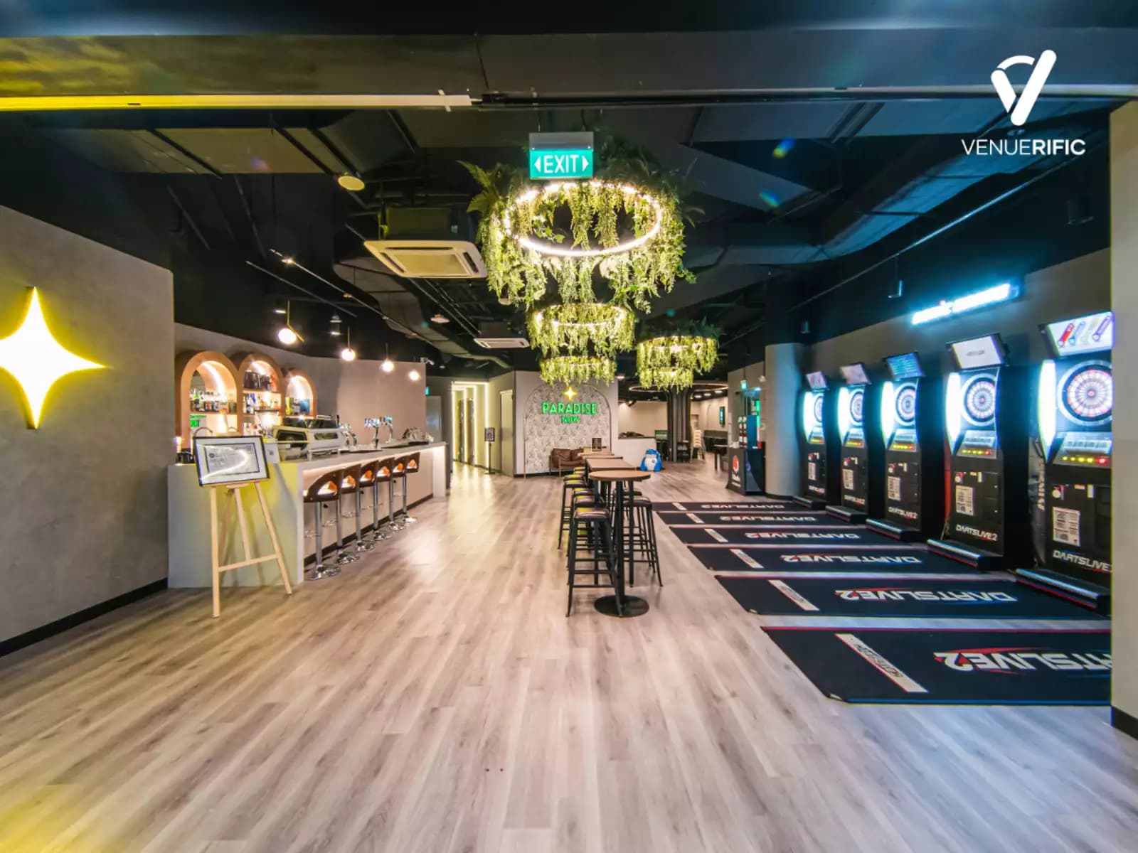 large room with dart alleys and bar counter