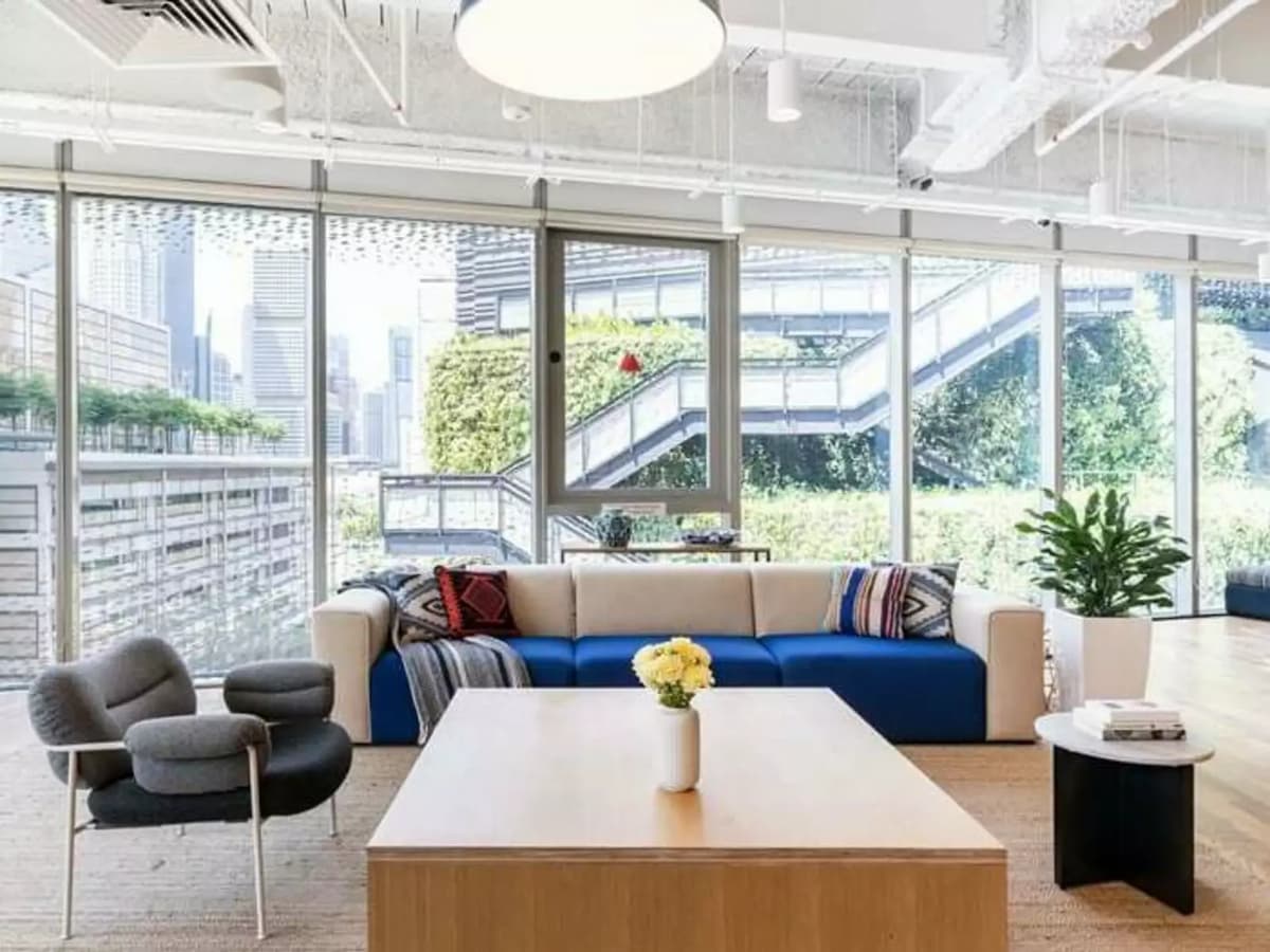 sofas in lounge area with natural lighting