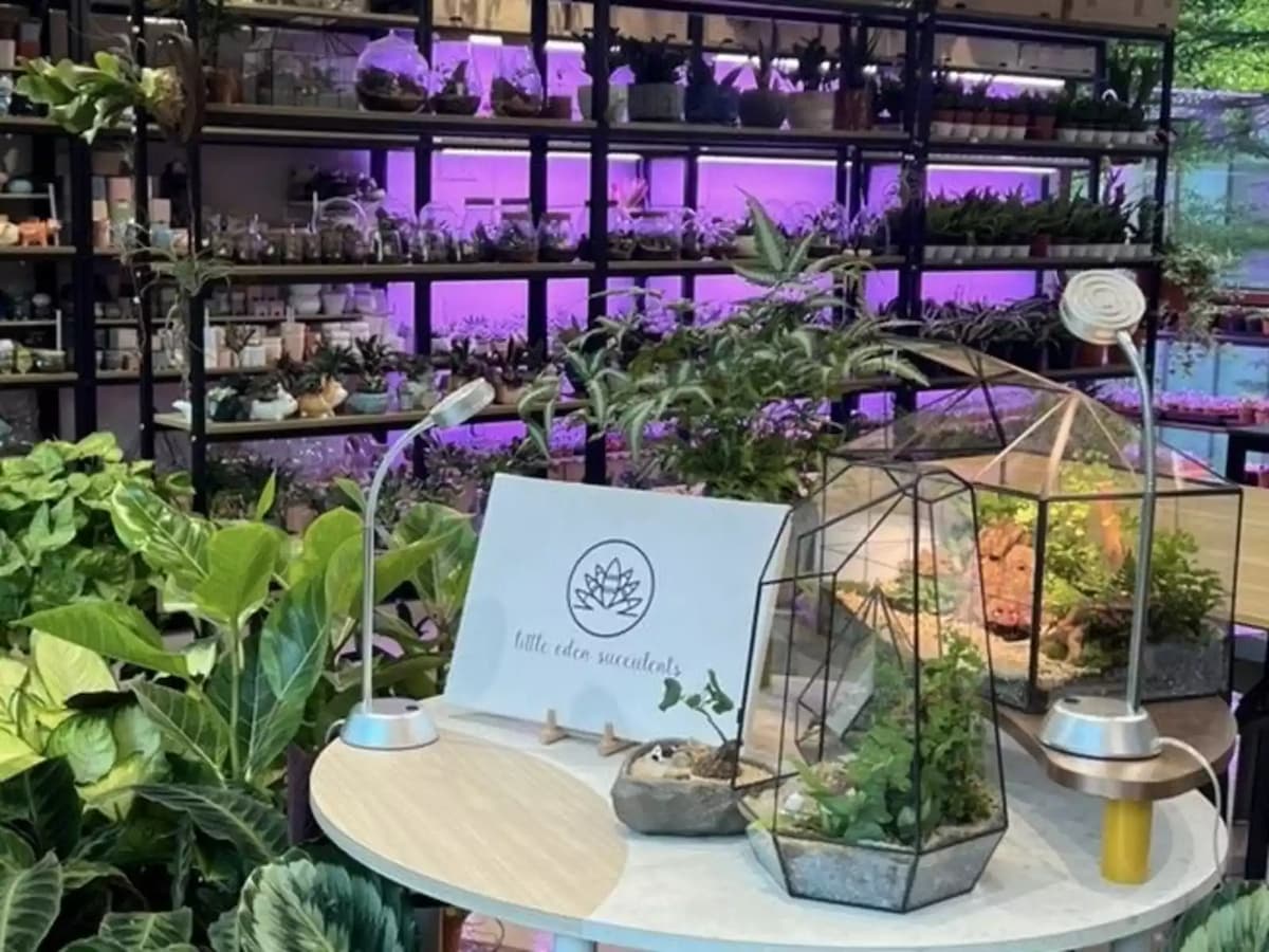 a group of plants reserved
