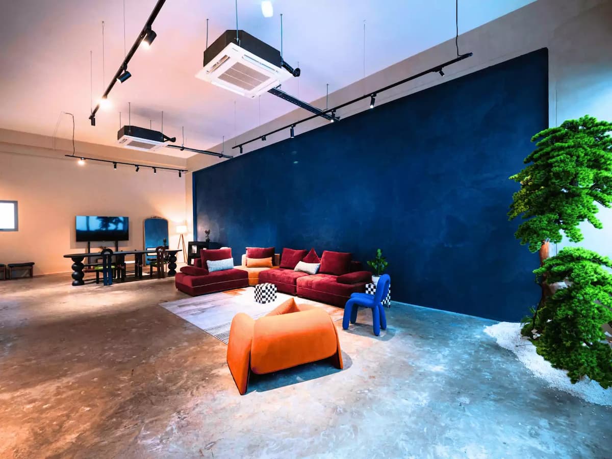 Modern event space with colorful lounge seating, blue feature wall, and indoor bonsai tree