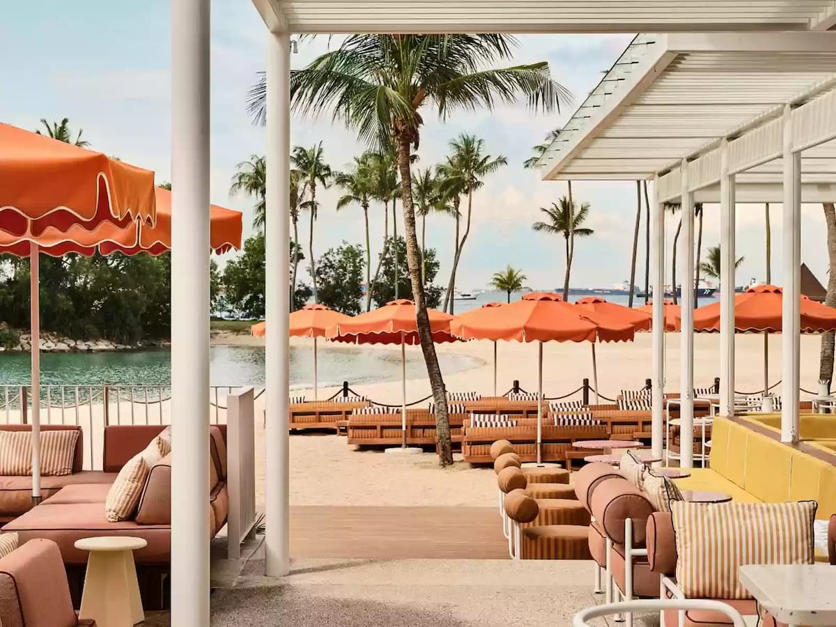 Beachside lounge with orange umbrellas, cushioned seating, and palm trees overlooking the sea.