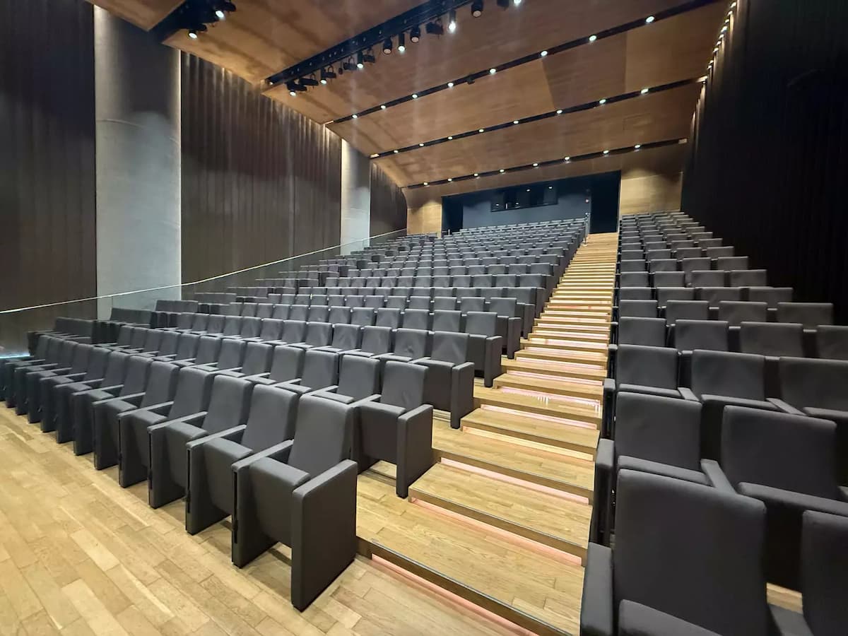 Modern lecture theatre with tiered seating and wood finishes.