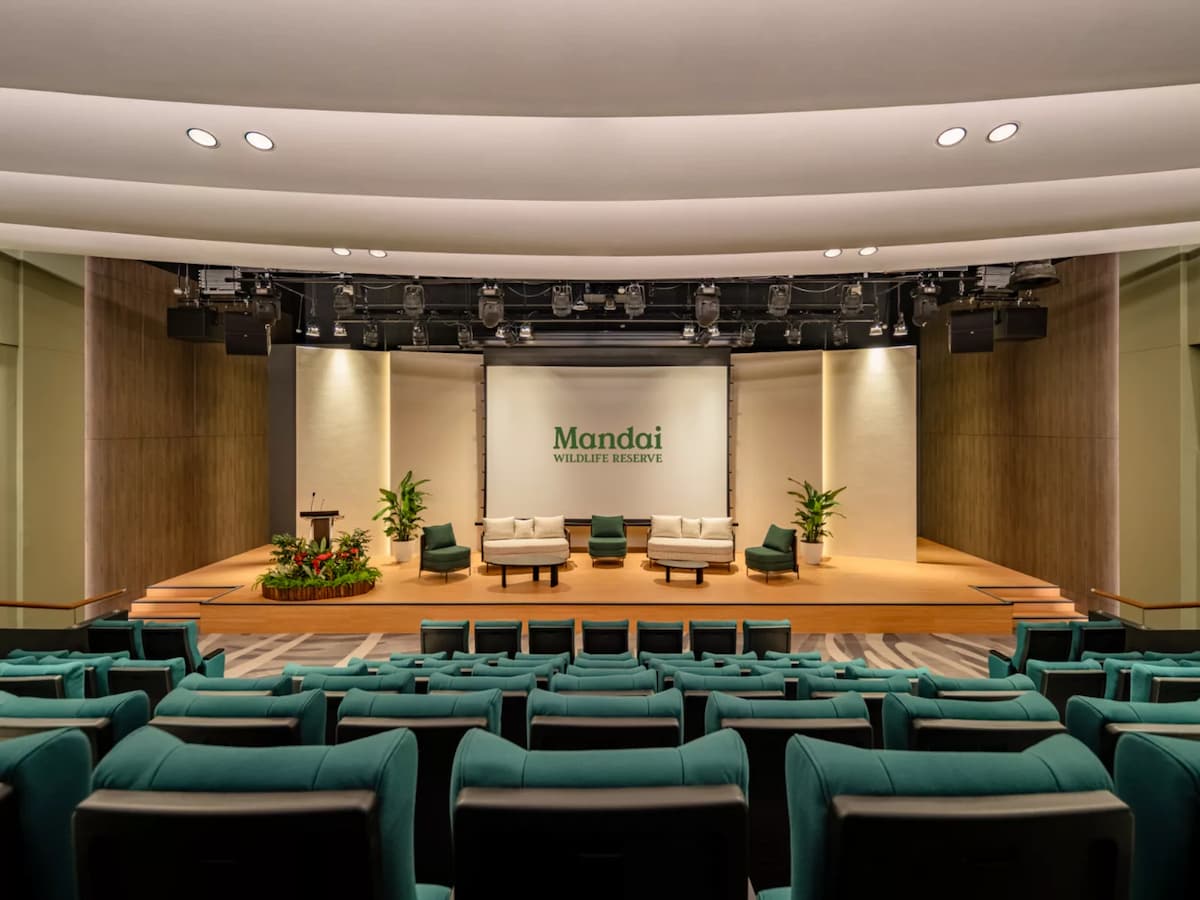 Auditorium with stage seating, presentation screen, and theatre-style chairs.