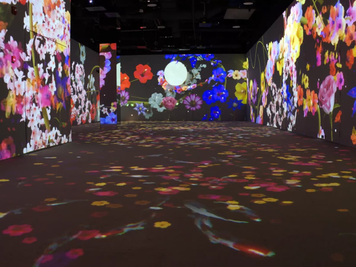 Immersive Event Space