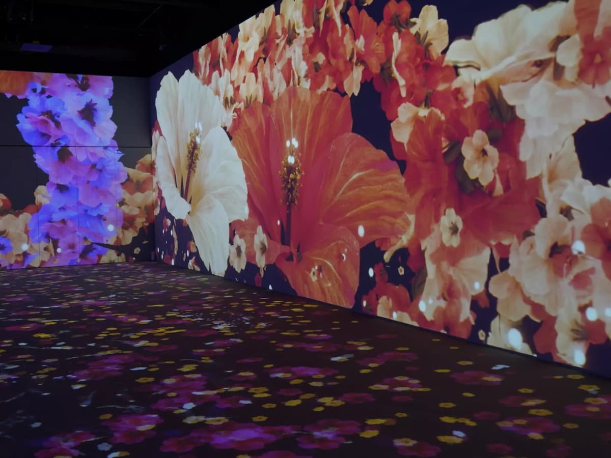 Immersive Event Space