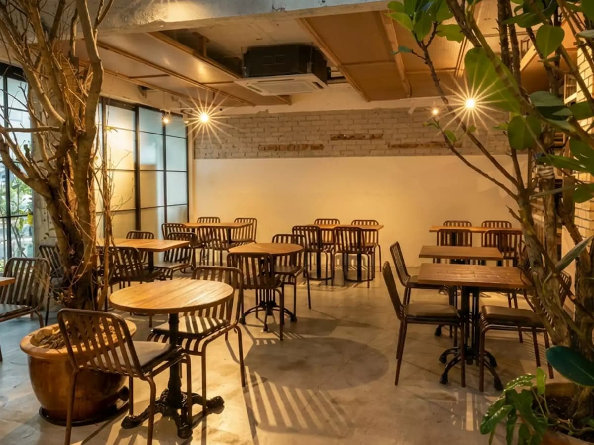 Garden-inspired café with wooden tables, lush indoor greenery, and a warm, relaxed setting for casual dining and private events.