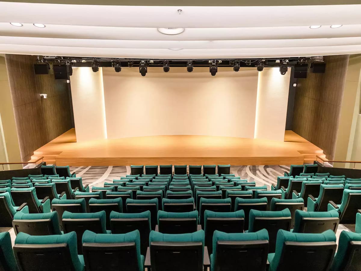 Auditorium with stage, tiered seating, and professional lighting.