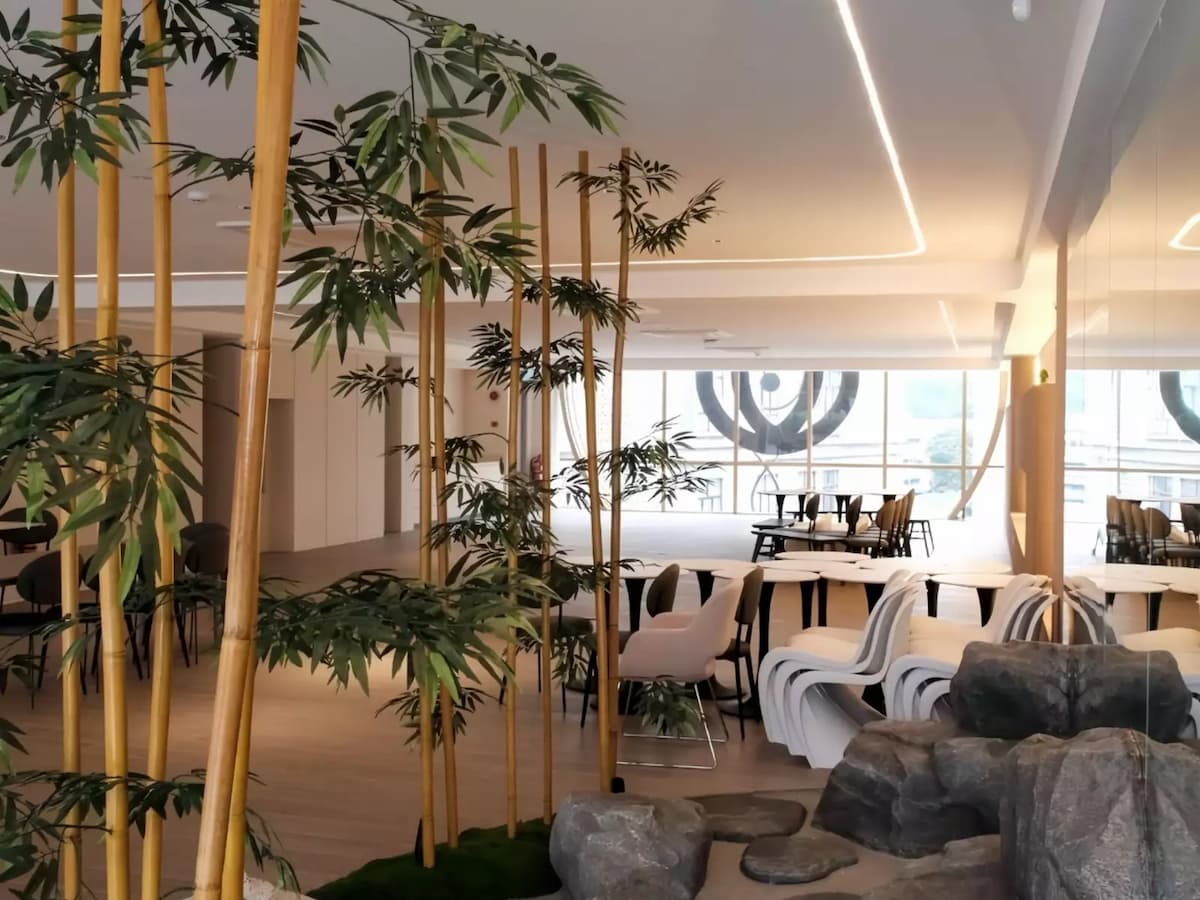 Zen Bamboo Garden- 3rd floor area