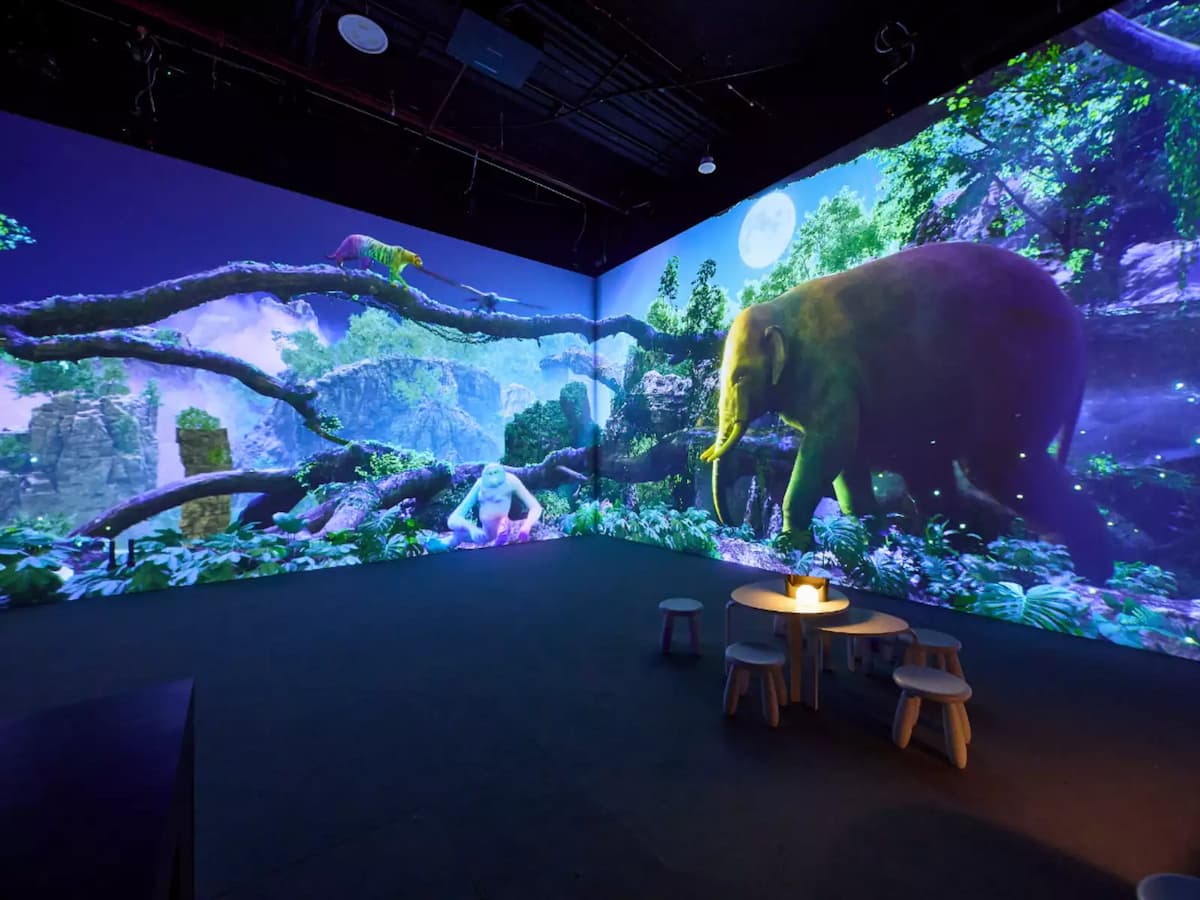 Zone 9