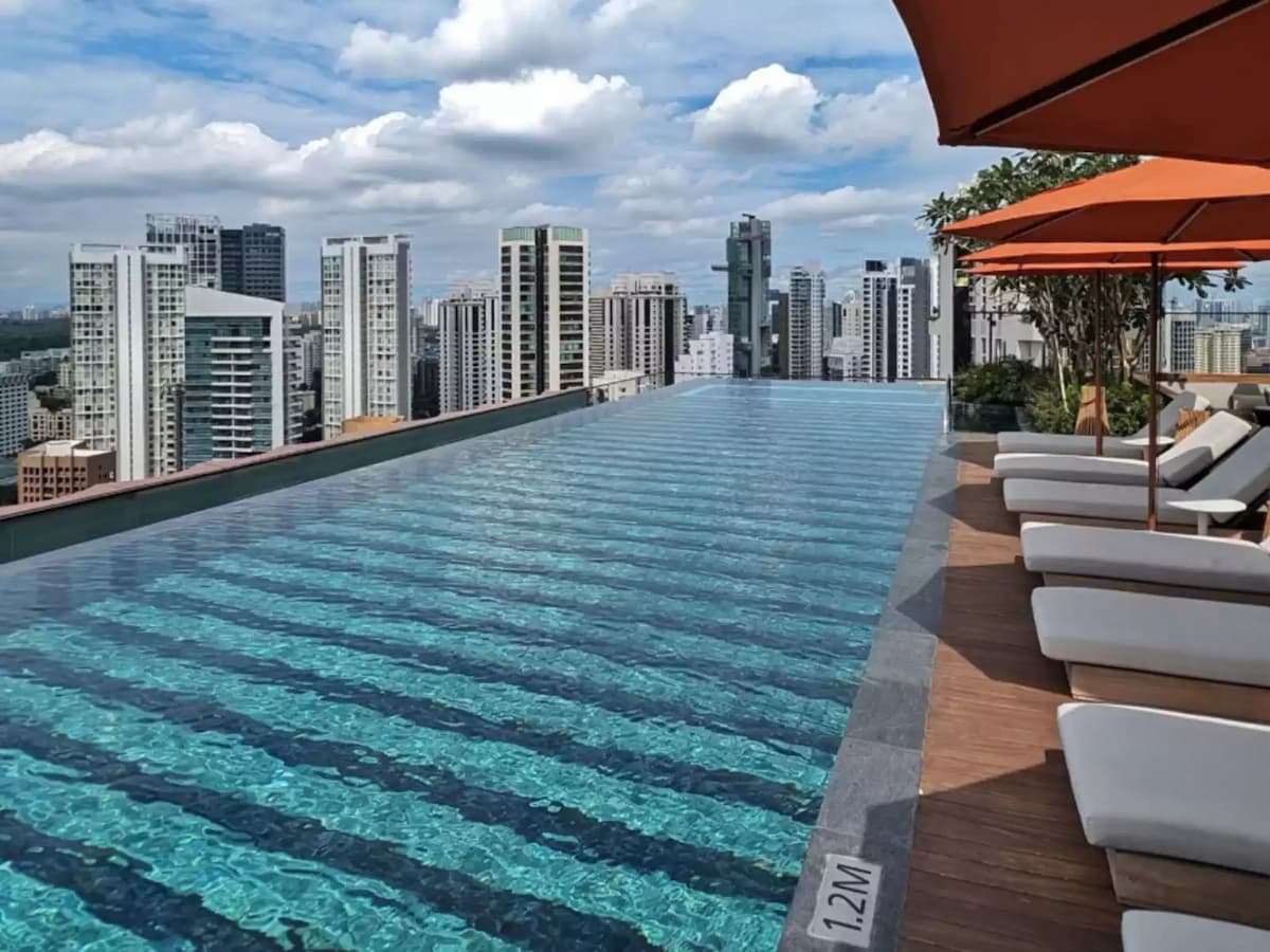 The Roof Garden
