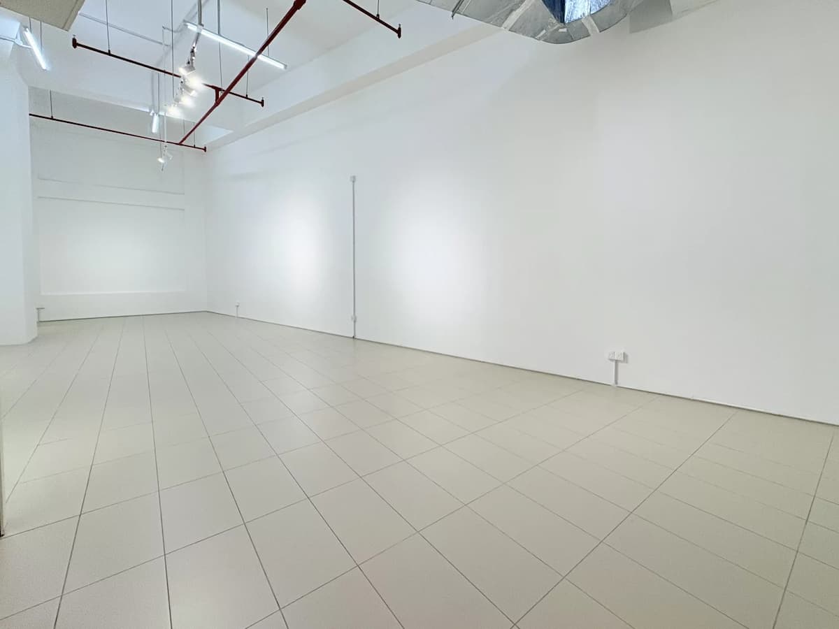 The White Canvas